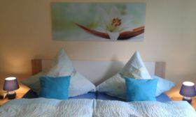 IMG-20180130-WA0000.jpg